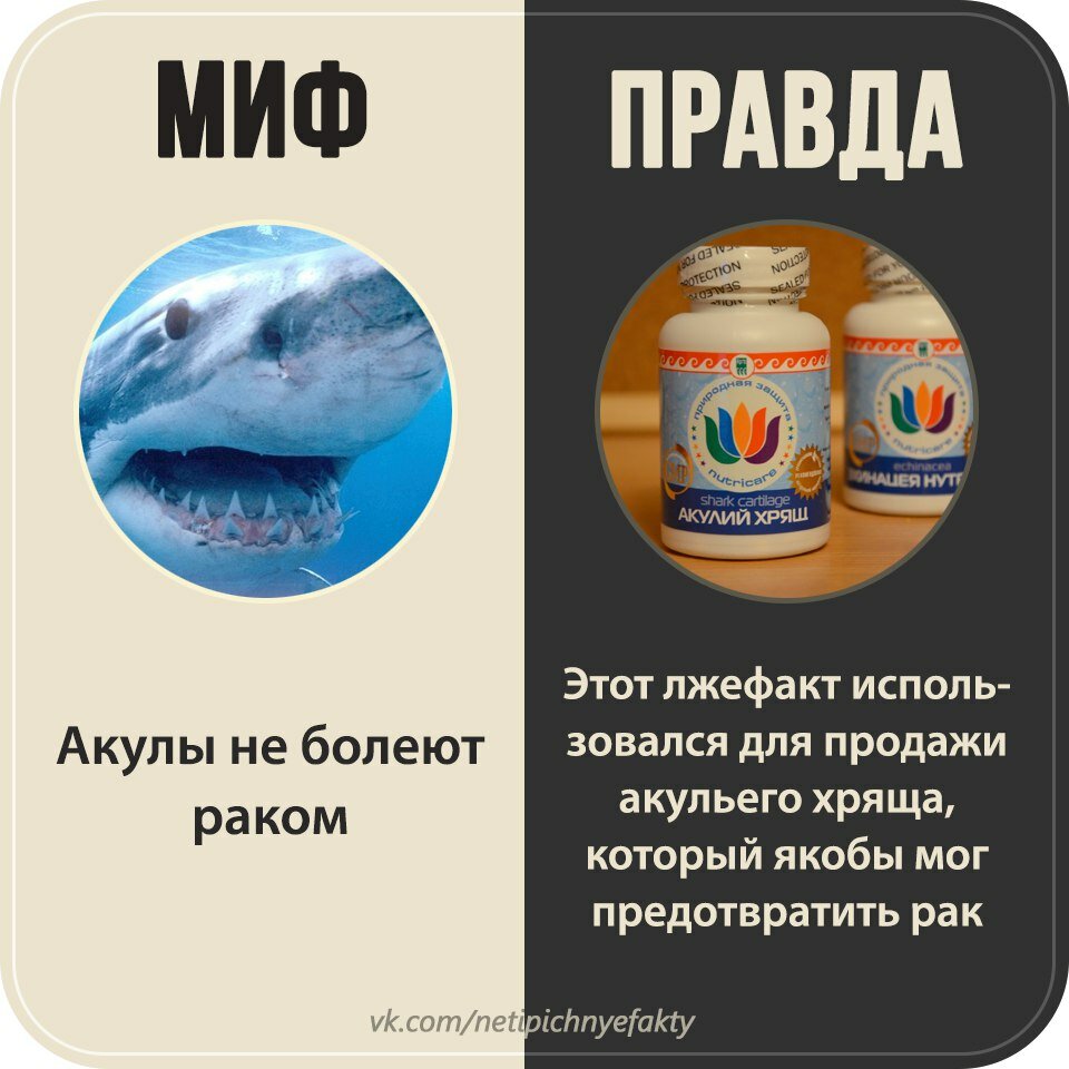 Мифы и правды.