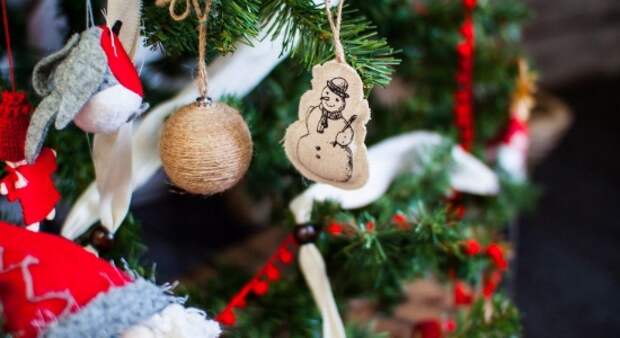 Насладиться разнообразием елок омичи могут в музее