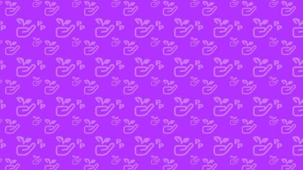 Нейросеть NtechLab начнет выявлять автомобили по ориентировкам в Ямале