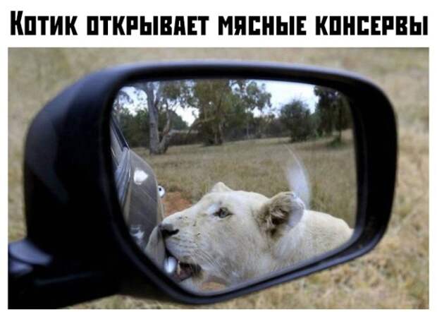 Подборка картинок. Вечерний выпуск (30 фото)