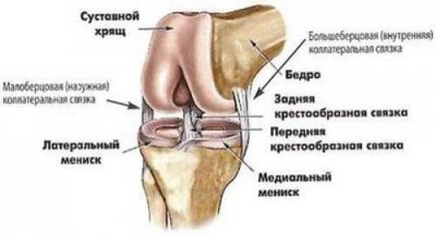 Симптомы и диагностика растяжения связок стопы. Механизм развития 07