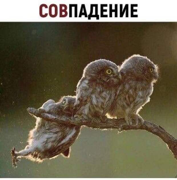 Свежая порция мемов: "Сейчас кофейку бахну и всё норм будет" (20 фото)