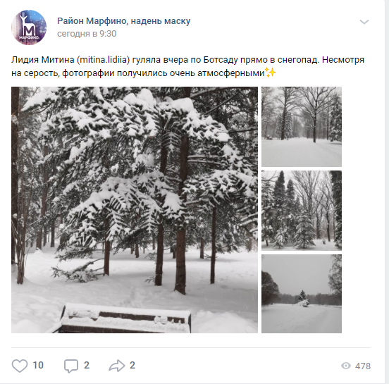 Фото дня: Ботанический сад во время снегопада