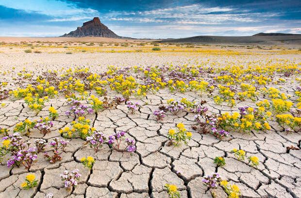 Desert badlands, USA