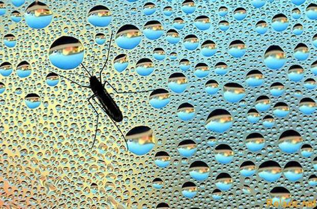 national-geographic-moments-11