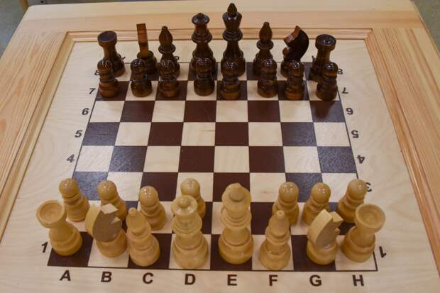 Стихи и шахматы: как крымчане развивают память и внимание