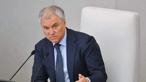 Володин анонсировал новые комплексные меры по борьбе с мошенниками