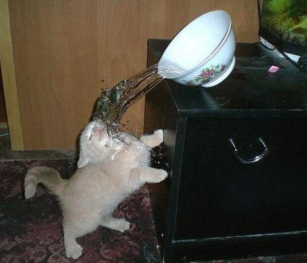 Фотографии, снятые в нужный момент