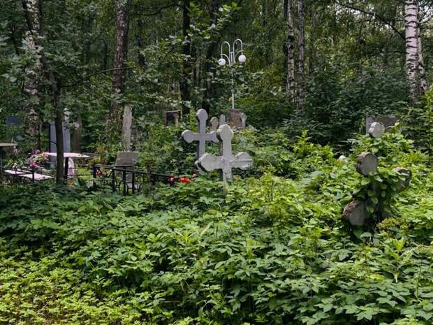 КГИОП признал участок Митрофаньевского кладбища объектом культурного наследия