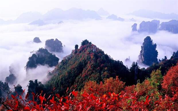 национальный парк, удивительные парки мира, национальный парк в китае, всемирное наследие юнеско, парк Чжанцзяцзе, горы Улинъюань
