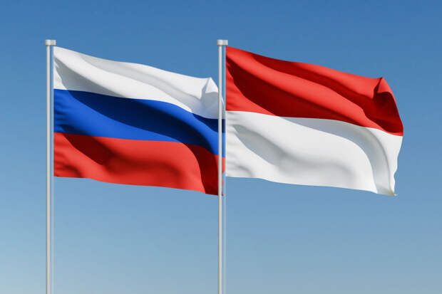 Индонезия договорилась с РФ о поставках сырой нефти и сжиженного нефтяного газа