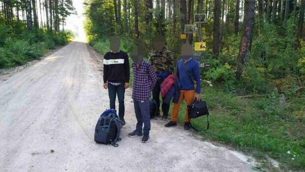 Представитель Службы охраны госграницы Литвы  Мишутис: Если нелегалы раньше переходили границу ночью, то теперь круглые сутки