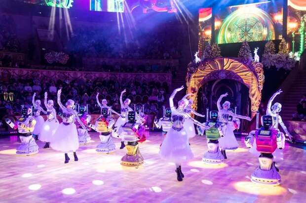 Более 40 тысяч участников СВО и их семей посетили представления Росгосцирка