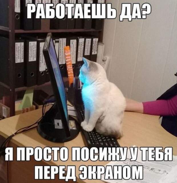 Картинки с надписями смешные (14)