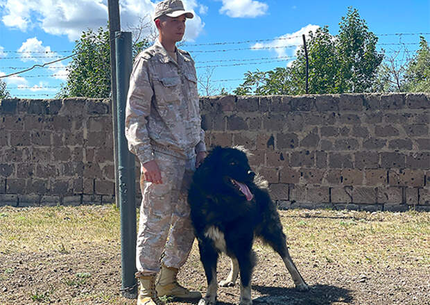 Караульные кинологические расчеты ЮВО в Армении провели тренировки со служебными собаками