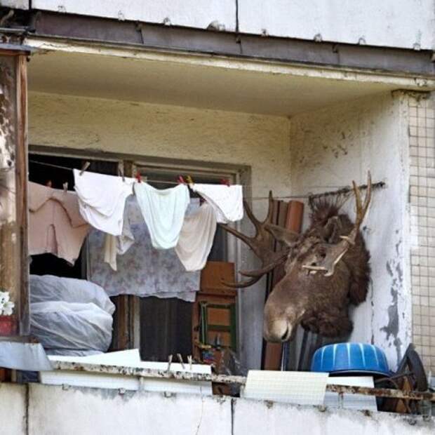 Картинки прикольные, смотри сейчас.
