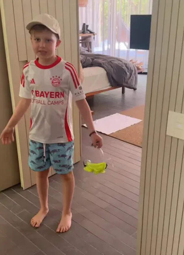 Платон Виторган