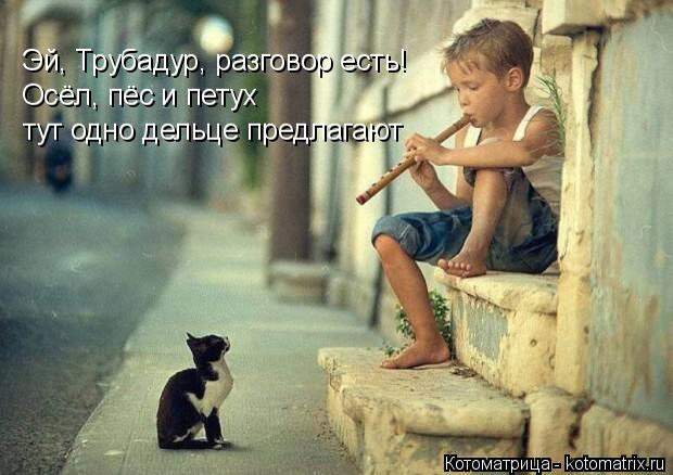Котоматрица: Эй, Трубадур, разговор есть! Осёл, пёс и петух  тут одно дельце предлагают