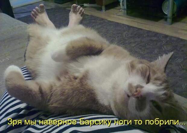 Мысли вслух :)