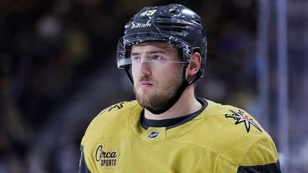 «Анахайм» обыграл «Вегас», у Барбашева ассист