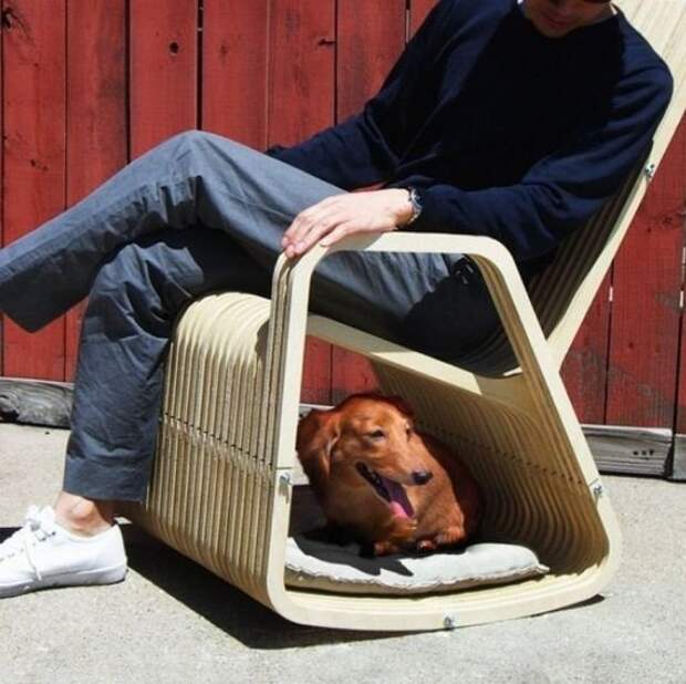 http://www.lubopiten.com/uploads/posts/2012-05/1337121540_funny-pictures-29.jpg