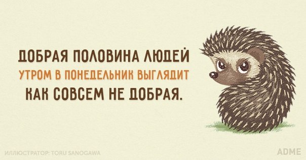 https://pp.vk.me/c7011/v7011946/14bc1/6TGkn1vq3Z4.jpg