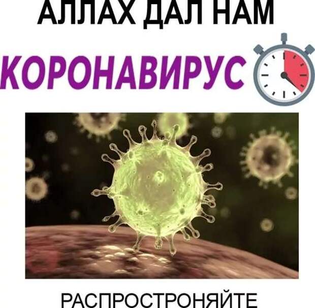 Демотиваторы про коронавирус с надписями. Подборка chert-poberi-dem-koronavirus-chert-poberi-dem-koronavirus-05200208062020-15 картинка chert-poberi-dem-koronavirus-05200208062020-15