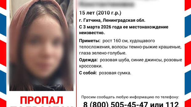 Родители нашли пропавшую дочь под Петербургом спустя несколько недель поисков