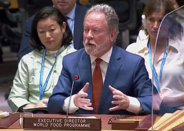 I. Заседание Совета Безопасности ООН №9036 за 14 минут Политика, ООН, Совбез ООН, Длиннопост