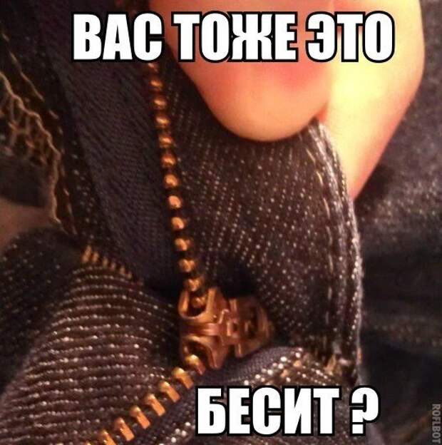 BOVBogr2-Kg