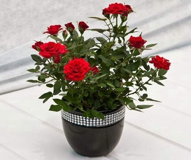 clip_image015