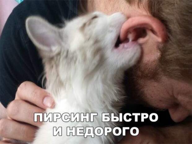 1572379501_kek-22.jpg