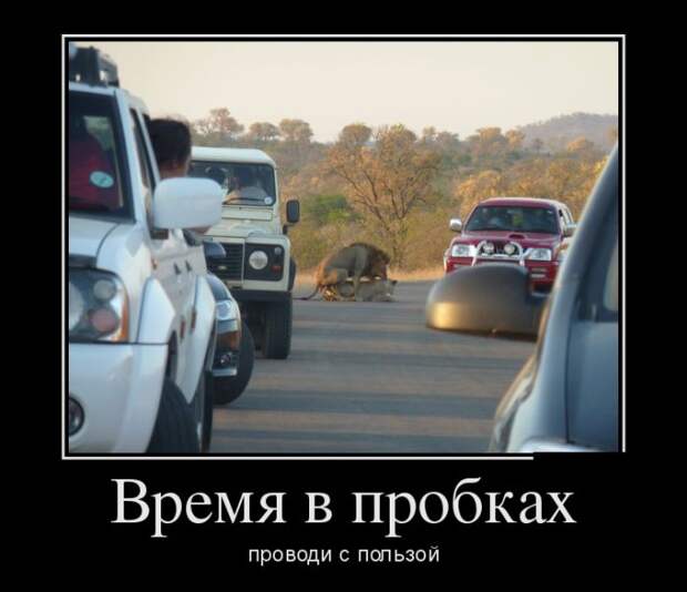 Демотиваторы (30 фото)