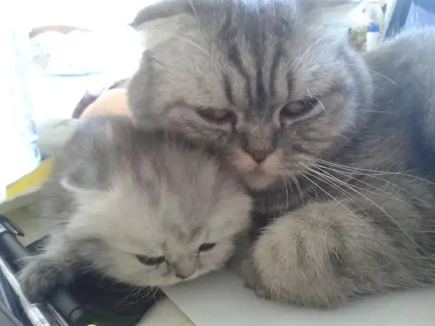 ����������: 50 ��������� ����� � �� �������������� ����-����� �45 - BigPicture.ru