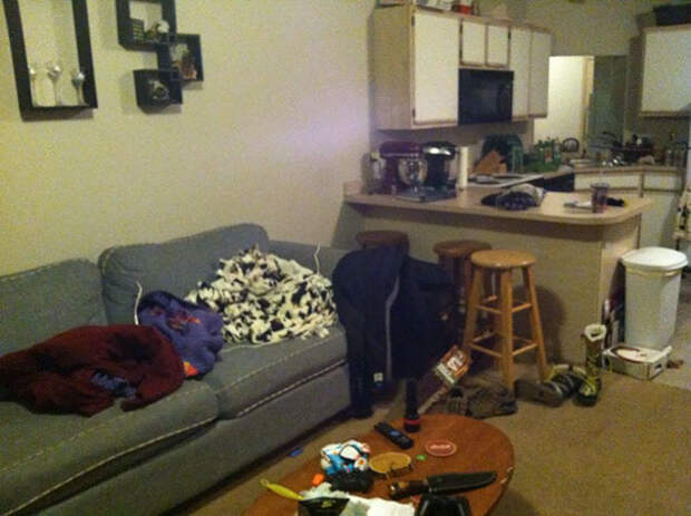 find-hidden-cat-camouflage-hide-and-seek-catouflage-166