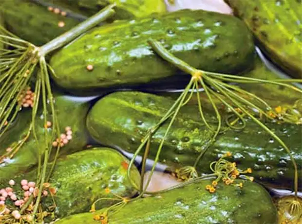 Огурцы с семенами горчицы. Огурцы с горчицей салат. Огурцы с зернами горчицы. Огурцы с зернами горчицы. Рецепт огурцов на зиму с горчицей.