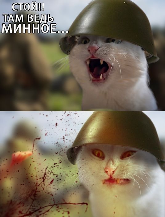 Прикольные картинки (102 фото) Прикольные картинки (102 фото)