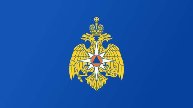 Определены предметы, запрещенные к проносу на мероприятия празднования 81-й годовщины Победы в Великой Отечественной войне