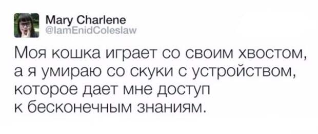Паранормальных пикч