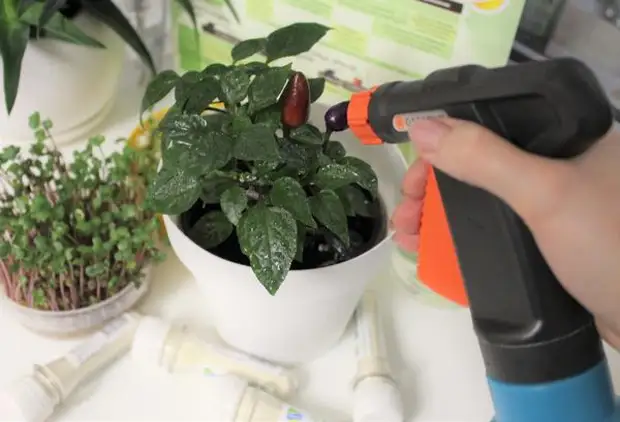 ��� � 10-15 ���� ������������ ����� ��������� ���������� ��� ��������� �������� � �����������