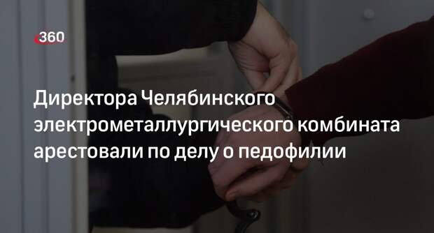 РБК: гендиректора ЧЭМК Ходоровского арестовали по делу о педофилии