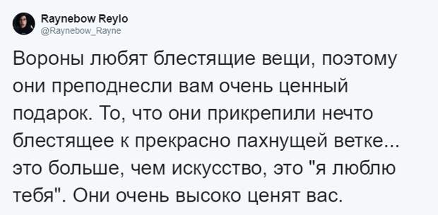 Пользователи также поделились похожими историями из своей жизни Стюарт Далквист, в мире, ворона, дар, добро, история, люди, птицы