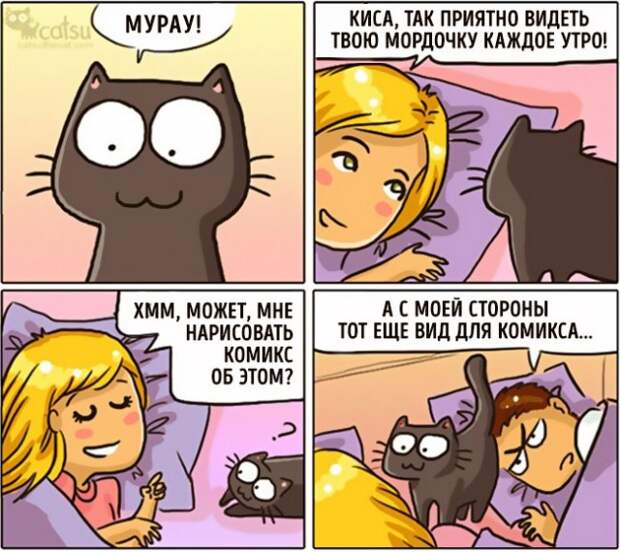 Как меняется жизнь с появлением в доме кота (20 картинок)
