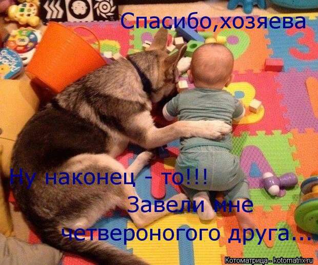 Котоматрица: Ну наконец - то!!! Завели мне четвероногого друга... Спасибо,хозяева