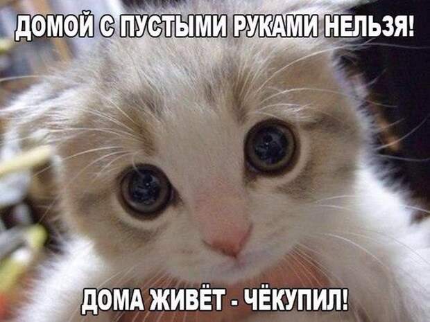 Картинки с надписями  мем, прикол, юмор