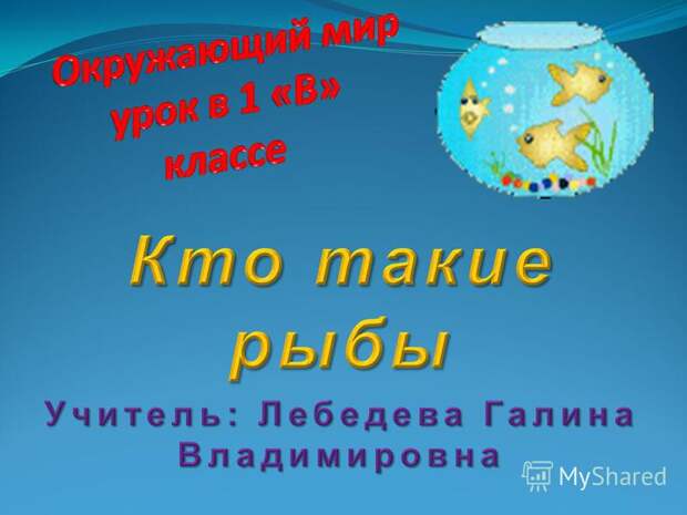 По земле не хожу, на 