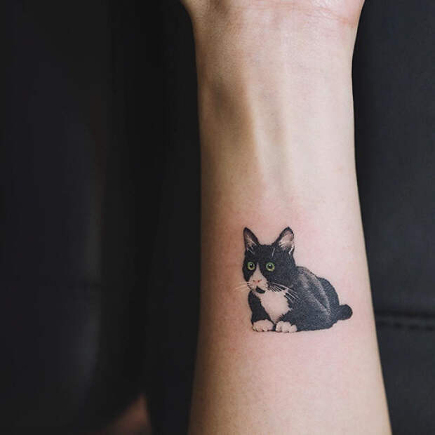 Cat Tattoo