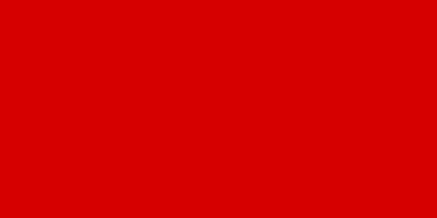 Оппозиционеры взяли фашистский флаг спецом. А варианты были