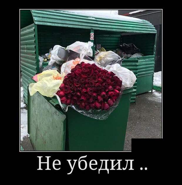 Пятничные демотиваторы для веселья (11 фото)