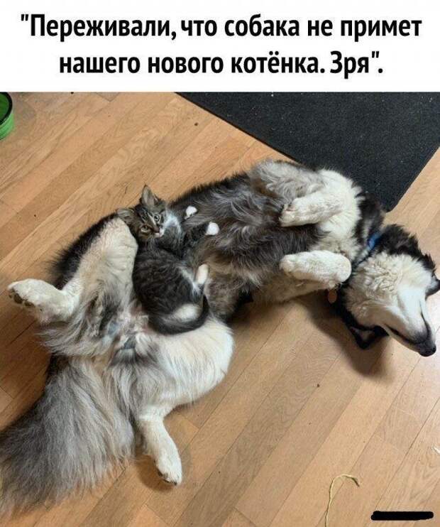 Смешные картинки